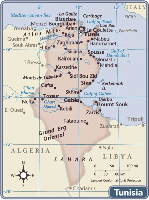 Framed Print : Tunisia 2011 Reference Maps Print Framed Print : Tunisia 2011 Reference Maps Print
