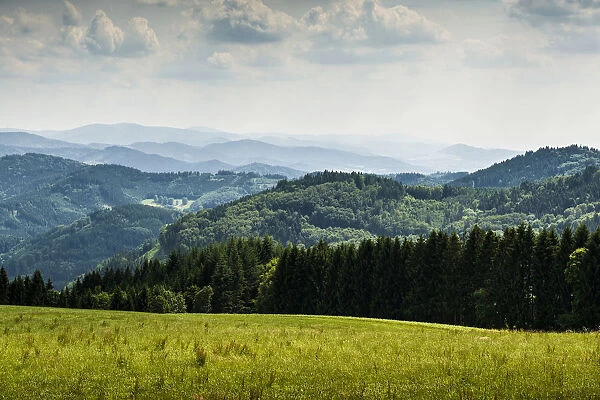 Meadow and wooded hills, at Freiamt, Black Forest, Baden-Wurttemberg, Germany