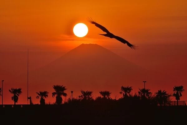 Mt Fuji and Sunset
