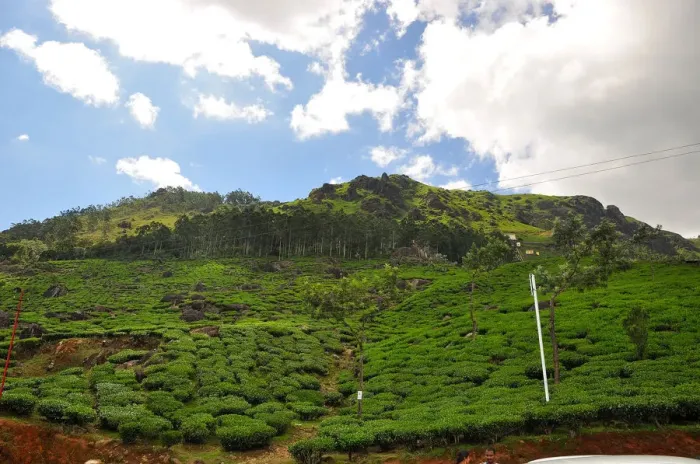 Framed Print : Munnar Hill Station Print