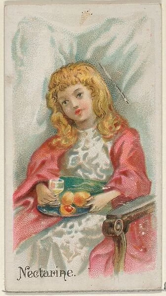 Nectarine Trade Card 1891