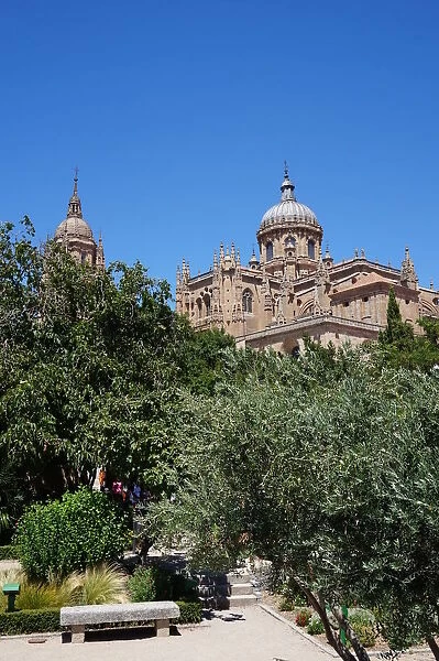 New Cathedral of Salamanca seen from Park, Spain