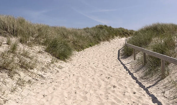 Path through the dunes, near Kampen, Sylt, Schleswig-Holstein, Germany