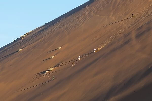 People running down the side of the famous Dune 45 sand dune. Sossuvlei, Namibia