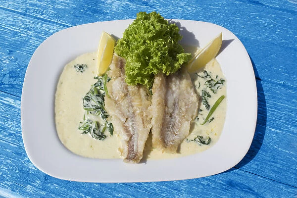 Pike-perch fillet on a bed of spinach with cream sauce