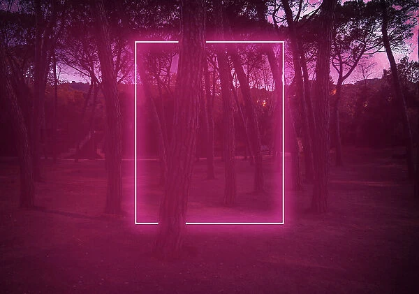 Rectangle red light neon between pine trees with futuristic visual effect