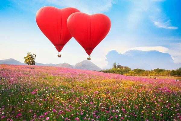 Red heart air balloon over on Beautiful Cosmos Flower in park
