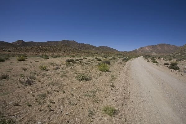 The Richtersveld is located in South Africas northern Namaqualand, this arid area represents a harsh landscape where water is a great scarcity and only the hardiest of lifeforms survive. Northern Cape Province, South Africa