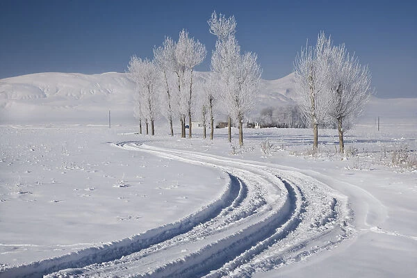 Road to Muradiye in snow, Van Province, Turkey