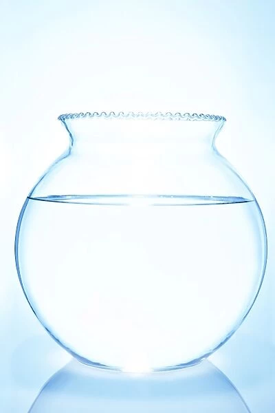 Round glass bowl filled with water