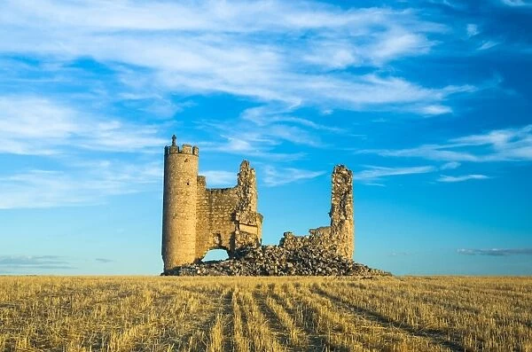 Ruins of an old medieval castle