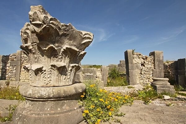 Ruins of Roman city of Volubilis