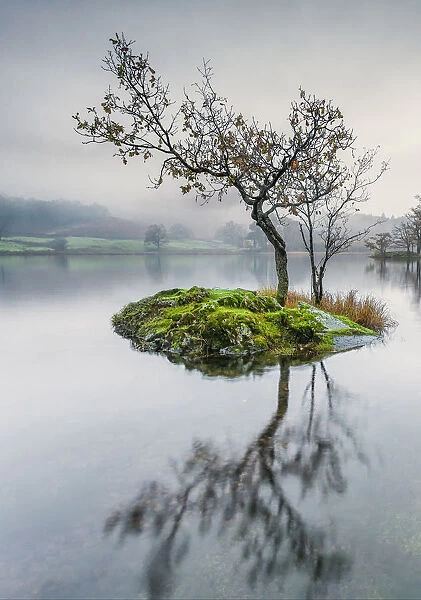 Calm. Rydal Water, The Lake District, Cumbria, UK