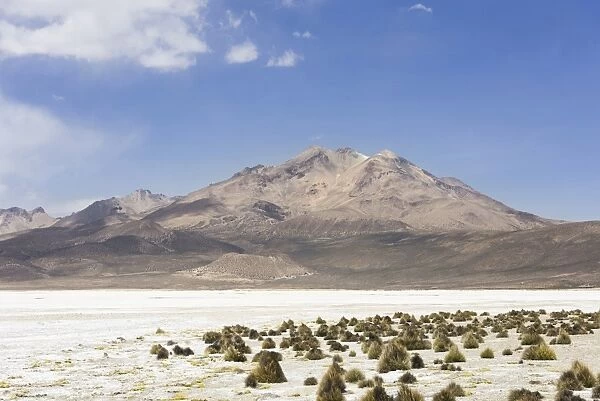 Salt lake Salar de Surire, partly mine and partly nature reserve, Putre, Arica y Parinacota Region, Chile