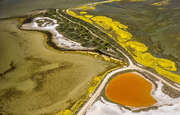 Salt patterns on the surface of salt marshes, brackish water area with colourful old salines, near Aigues-Mortes, Saintes-Maries-de-la-Mer, Camargue, Provence-Alpes-Cote dAzur, France