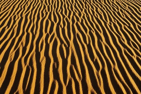 Sand patterns on a dune, In Tehak region, Acacus Mountains or Tadrart Acacus range, Tassili nAjjer National Park, Unesco World Heritage Site, Algeria, Sahara, North Africa