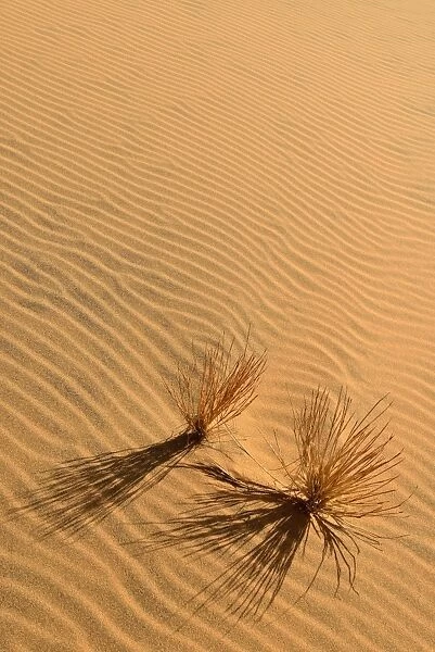 Sand ripples, texture on a sand dune, Tassili nAjjer, Sahara desert, Algeria