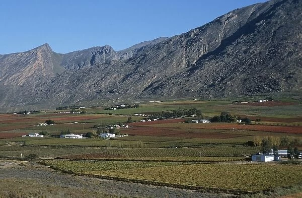 Scenic View of Vineyards Against the Slopes of the Mountains