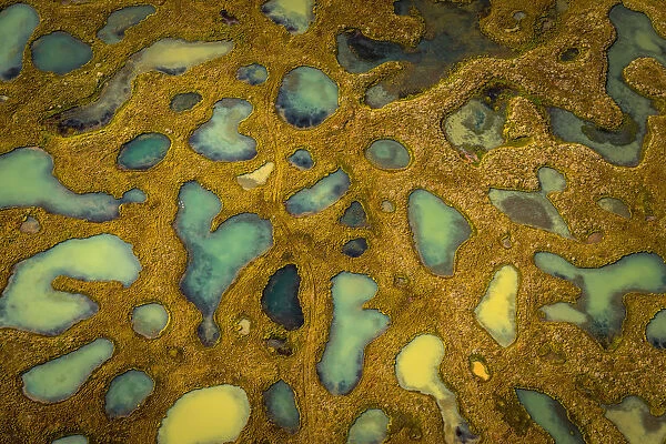 Small ponds with lava and moss, Iceland