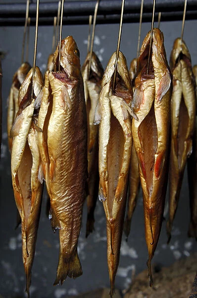 Smoked trout hanging from hooks in a smokehouse, Fuschl, Austria, Europe