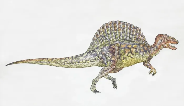 Framed Print : Spinosaurus Side View Print Framed Print : Spinosaurus Side View Print