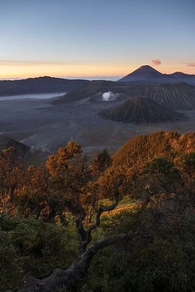 Sunrise at Bromo volcano