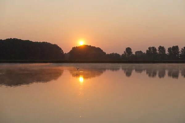 Sunrise over a pond landscape, Herbsleben, Thuringia, Germany