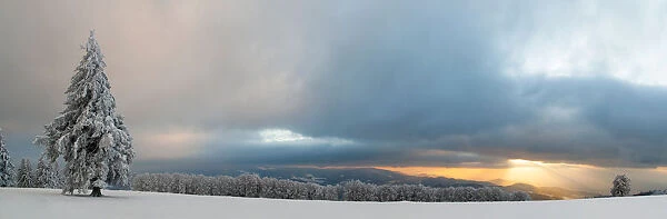 Sunset after a snowfall on the Kandel, Black Forest, Baden-Wuerttemberg, Germany