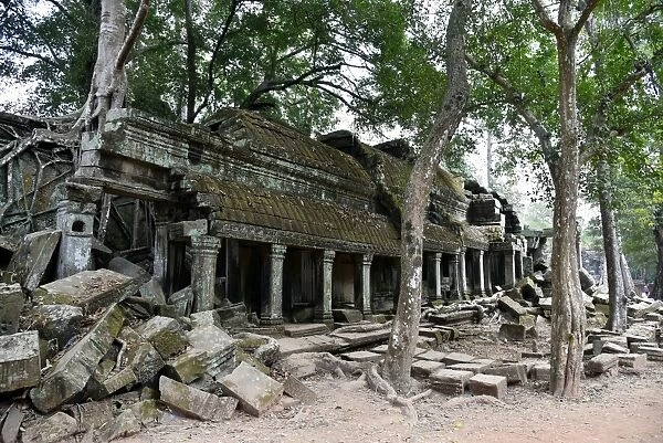 Ta Prohm Angkor temple Siem Reap Cambodia