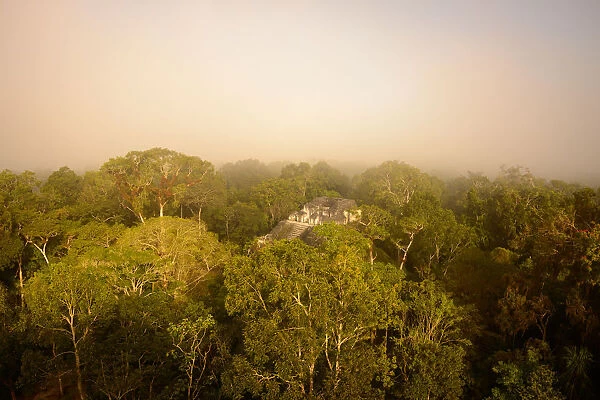 Tikal temple mist