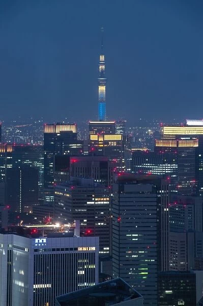 Tokyo skytree at night from Roppongi hill
