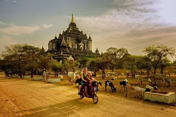 A tourist family driving around bagan temples, Myanmar