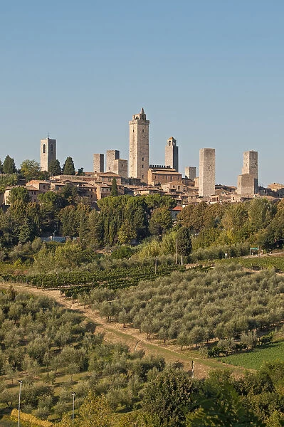 Towers of medieval hill town of San Gimignano, Toscana, Tuscany, Italy, Europe