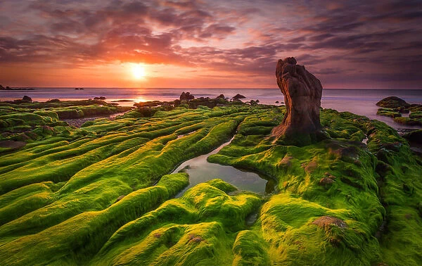 Vietnam - Sunrise over green moss cover rocks in Co Thach beach, Binh Thuan