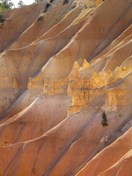 View of canyon with hoodoos, Bryce Canyon National Park, Utah, USA