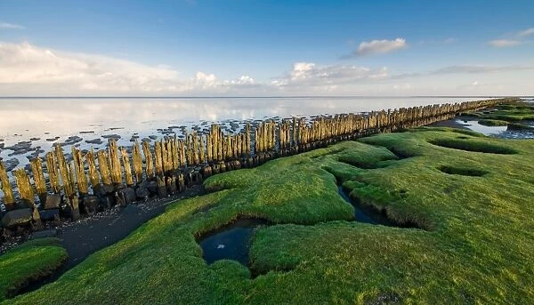 View over grasses, poles en tidal flats of the Wadden sea at Dutch Northcoast