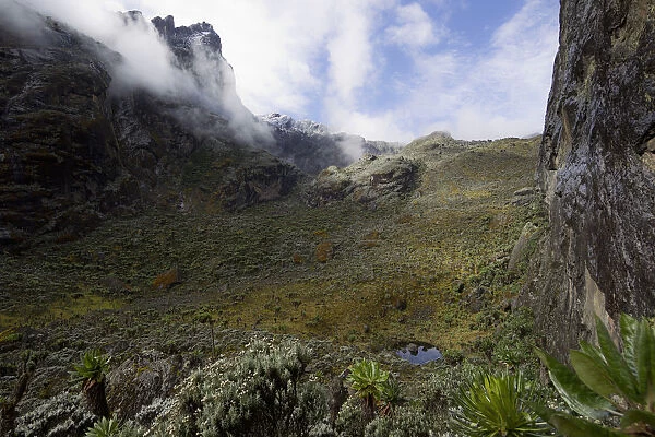 View from Mount Stanley from the Kilembe Route, Rwenzori National Park, Kasese District, Uganda