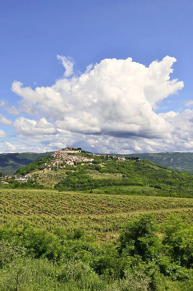 View across vineyards to the town with atmospheric clouds, Motovun, Montona, Mirna Valley, Istria, Croatia