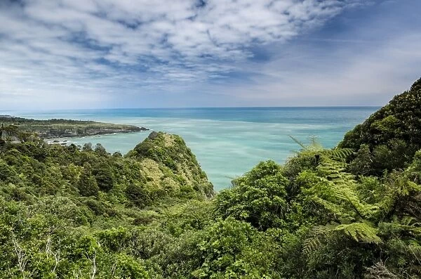 Views over dense vegetation towards the green sea on the West Coast, Irimahuwhero Lookout, Paparoa National Park, South Island, New Zealand, Oceania