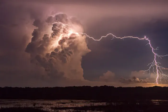 Framed Print : Bolt from the Blue Print - Fogg Dam Lightning Storm, 2015 Framed Print : Bolt from the Blue Print - Fogg Dam Lightning Storm, 2015