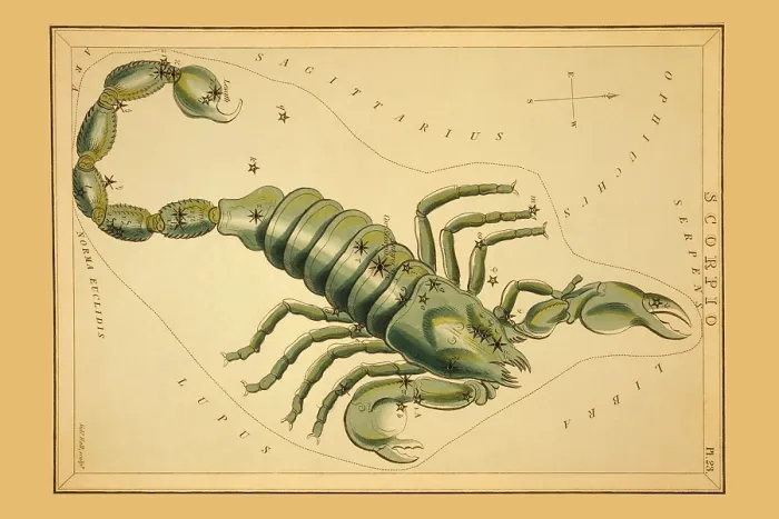 Framed Print : Scorpio Constellation Print