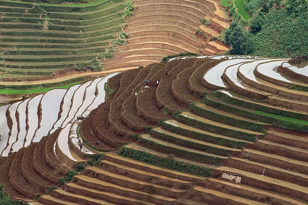 Water season in rice terrace paddies in North Vietnam
