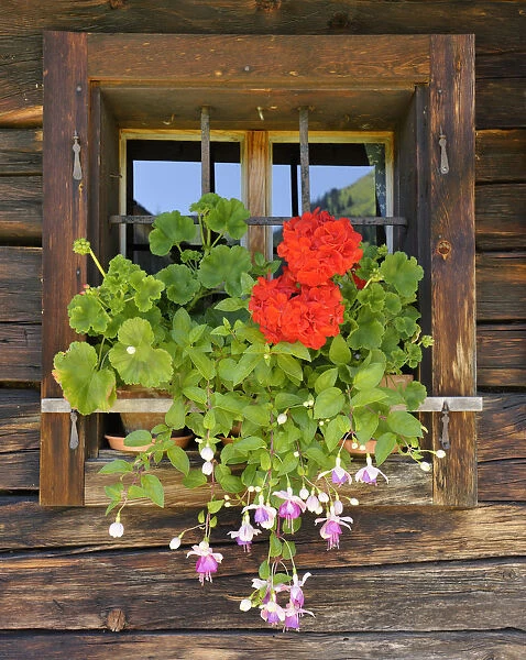 Window with flower box, Laerchkaralm mountain lodge, Donnersbachwald, Styria, Austria, Europe