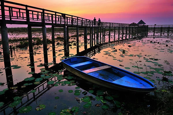 The wooden bridge and lotus pond