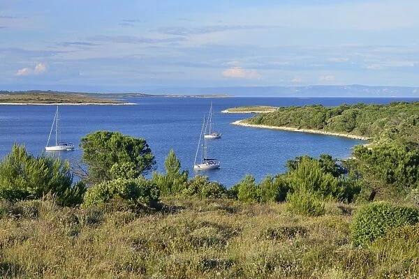 Yachts anchored in a bay, Cape Kamenjak, Premantura, Istria, Croatia