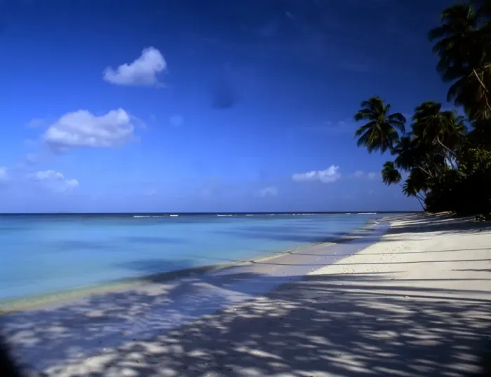 Framed Print : Rangiroa Island Landscape Print