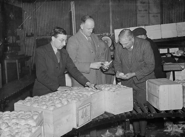 Men checking the packed fruit at the Fruit Farm in Swanley, Kent. 1938