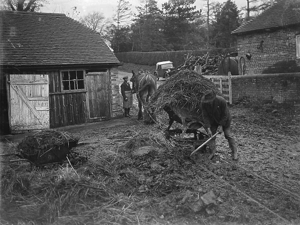 Transporting muck from cowsheds. 1935
