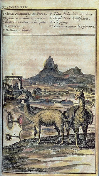 137-0627924 Illustration from a history of Peru showing ore-crushing and mining equipment with two llamas, 1717 (engraving)