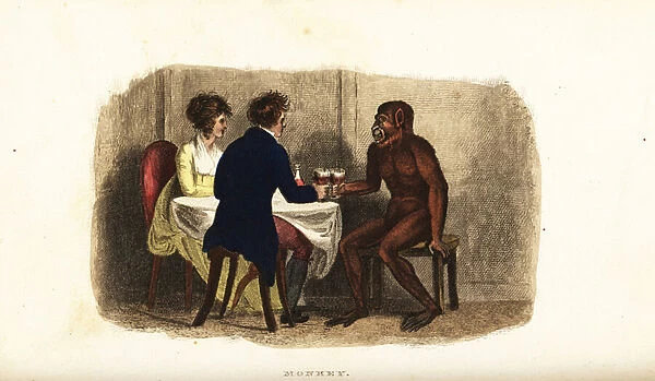 18th century Dutch couple drinking wine with a Bornean orangutan at the dining table